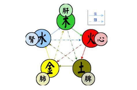 五行相生|五行（对万事万物的取象比类）